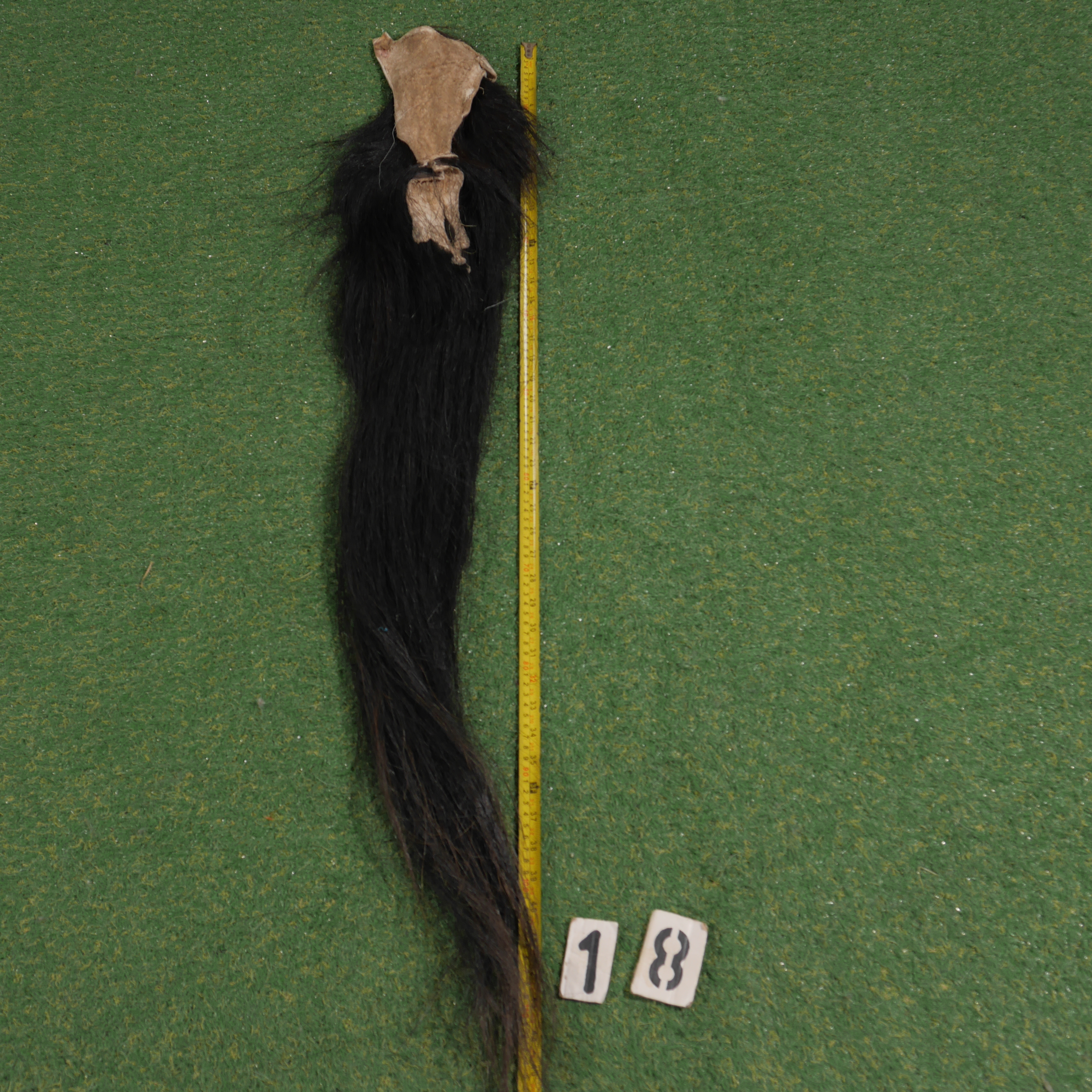 Paardenstaart (110 cm)