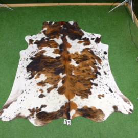 Tricolor cowhide rug (210 x 200)