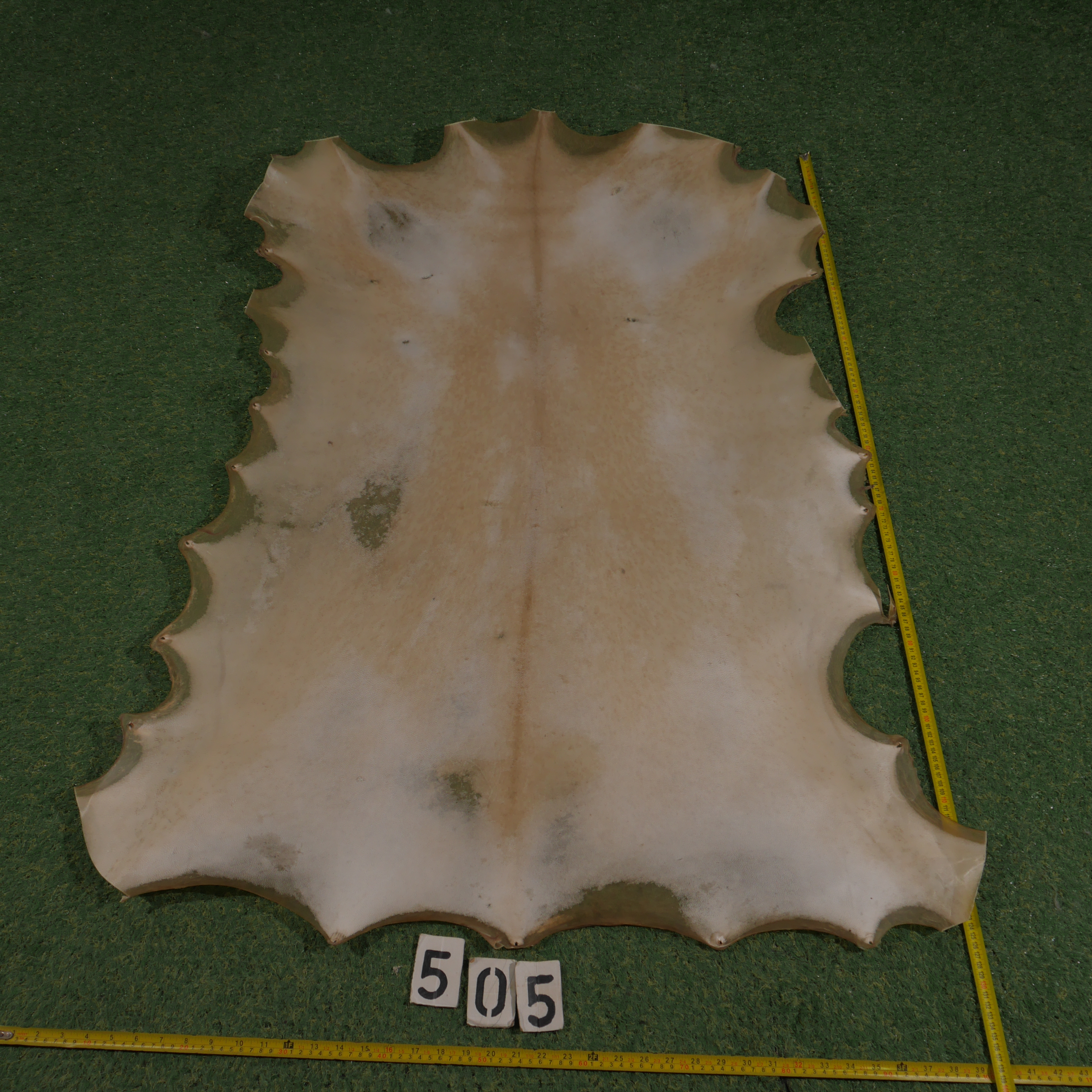 Perkament van geit (1.00 m²)