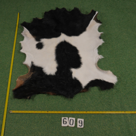 Perkament van geit met haar (ongeveer 1.10 m²)