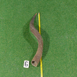 Koedoe hoorn ( 60 cm)