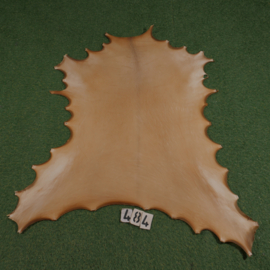 Reindeer rawhide (0.99 m²)
