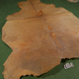 Horse rawhide (3.48 m²)