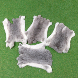 Grey rabbit skin (50-60 cm) XL