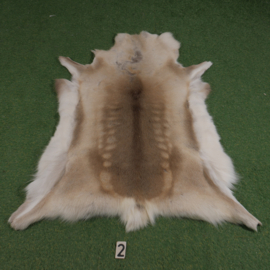 Rendierhuid (125 x 100)