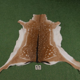 Fallow deer skin (105 x 110) summer coat