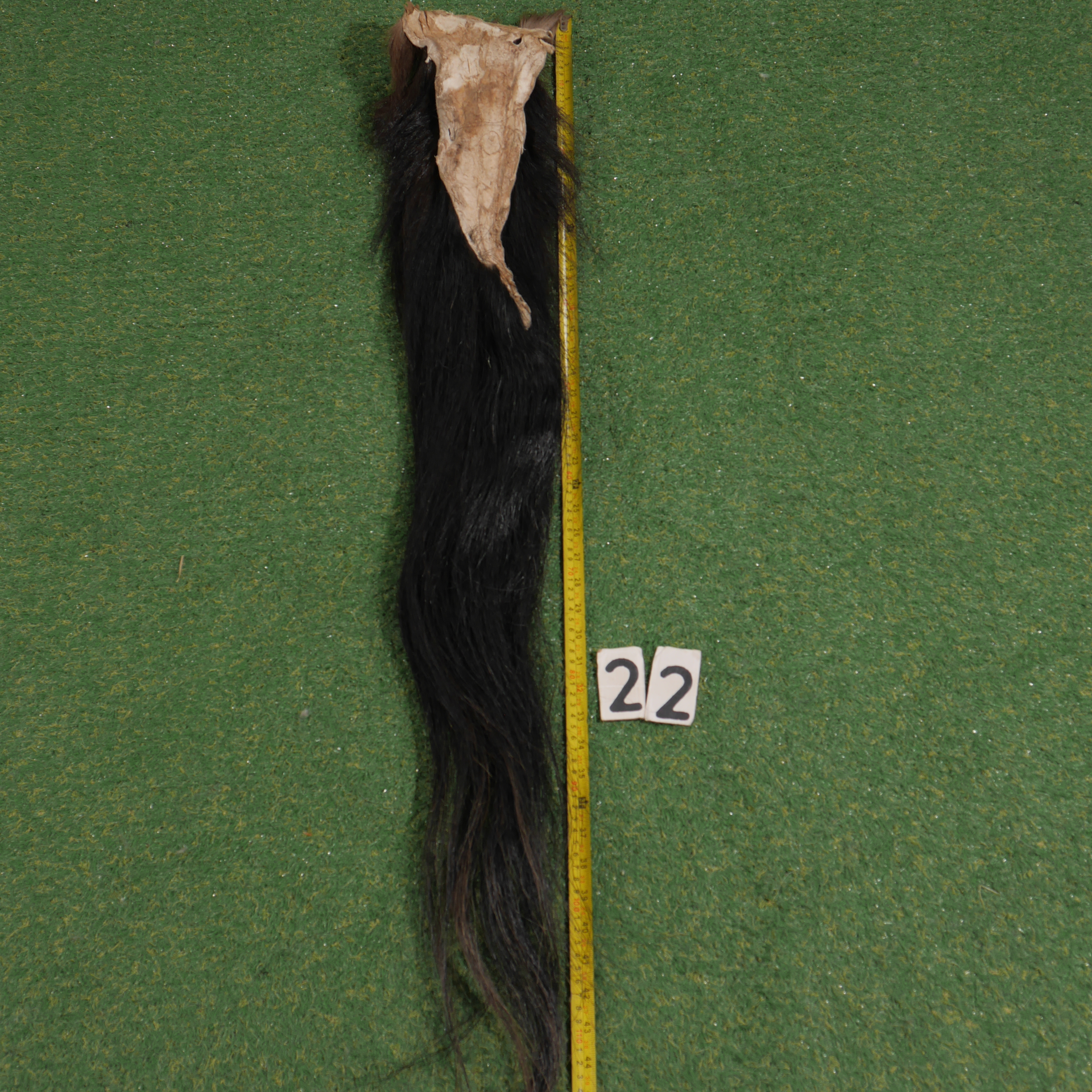 Paardenstaart (110 cm)