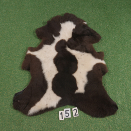 Brown-white spotted sheepskin (100 x 75)