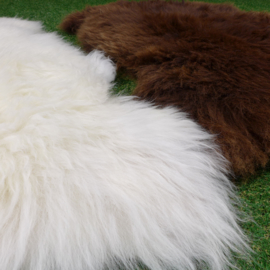 SALE: White Icelandic lambskin