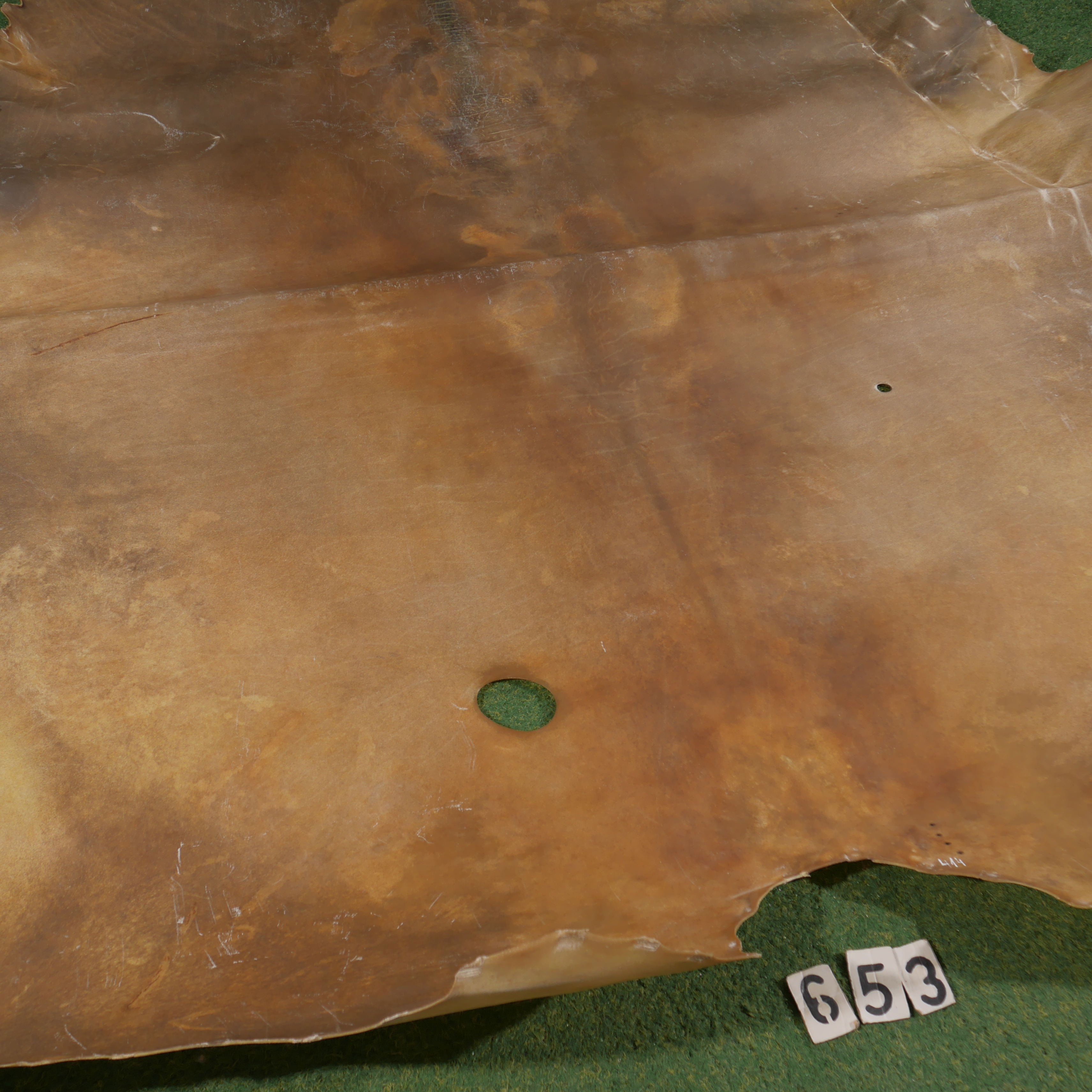 Bison parchment (4.14m²)