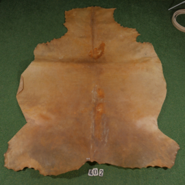 Horse rawhide (3.48 m²)