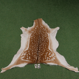 Fallow deer skin (110 x 110) summer coat