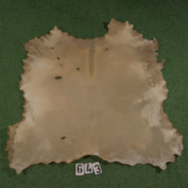 Perkament van wild zwijn (1.12 m²)