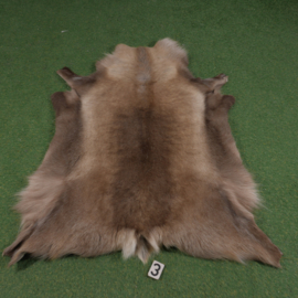 Rendierhuid (130 x 100)