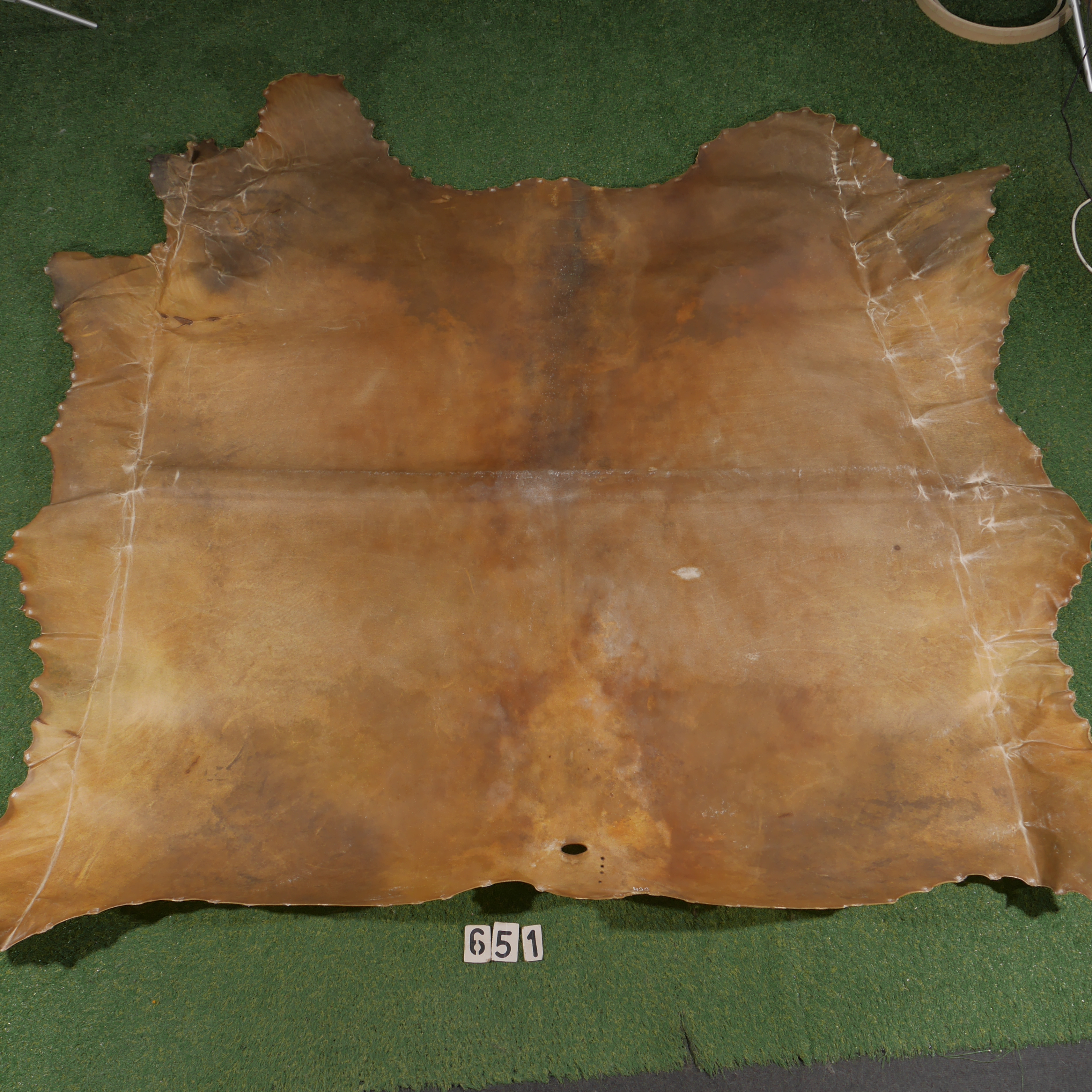 Bison parchment (4.30m²)