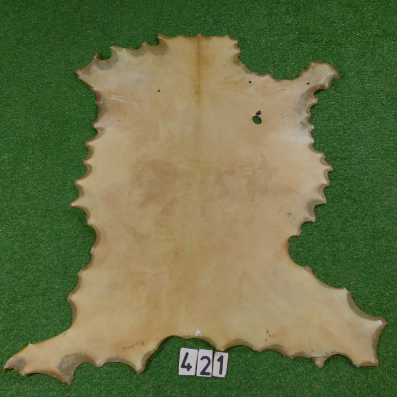 Real Rawhide Parchment Rawhide by the Fallow Deer Viking Shield Trommellederlarp 