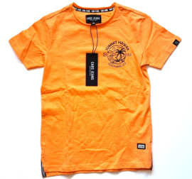 Stoer t-shirt van Cars Jeans maat 140 (10)