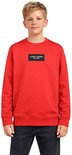 Stoere trui van Cars Jeans maat 176 (16)