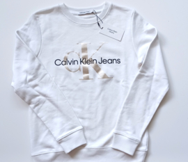 Mooie trui van Calvin Klein maat 164 (14)