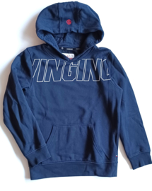 Stoere hoody van Vingino maat 152 (12)