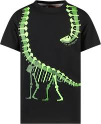 Stoer t-shirt van Tygo & Vito maat 146/152