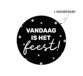 Stickers - Traktatiestickers ‘vandaag is het feest’ (10 stuks)