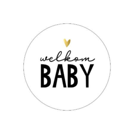 Sticker - traktatiestickers ‘Welkom baby’ (10 stuks)