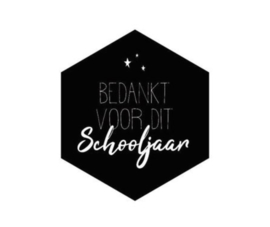 Stickers ‘bedankt voor dit schooljaar’ (10 stuks)