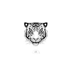 tijger