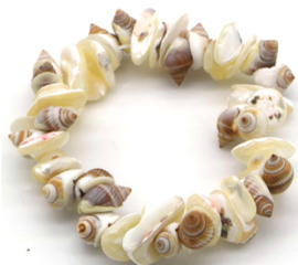 wit-crème kleurige schelpen armband