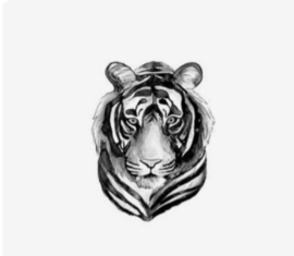 Tijger 5 st.