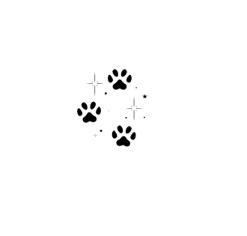 dierenpootjes