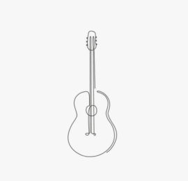 gitaar 5 st.
