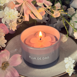 Sojakaars - Pluk de dag - Fig's Delight