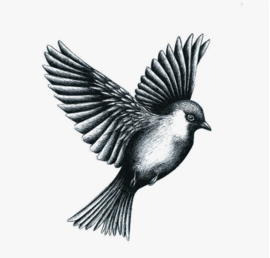 Vogel 5 st.