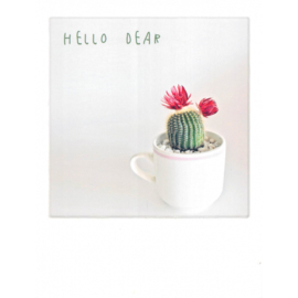 Hello Dear Cactus