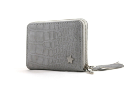 Kleine licht grijze portemonnee met sterretje