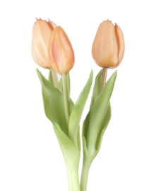 3 Real touch tulpen | Peach | 30 cm