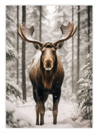 Een zakje winterliefde