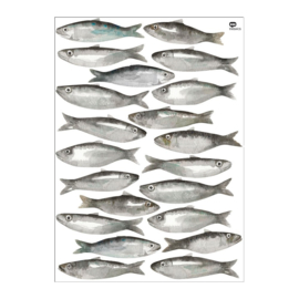 Muurstickers Sardine