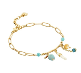 Biba armband goudkleurig met natuursteen en bedels