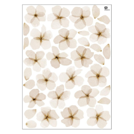 Muursticker Cherry Blossom | Bruin