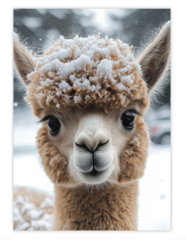 Een zakje winterliefde