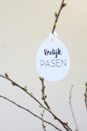 Paaseieren | 6 stuks