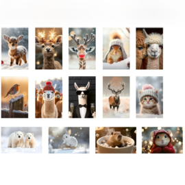 Doosje Winter LIEFDE | 14 Kleine Kaartjes met Winterdieren 