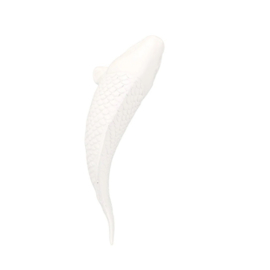 Ornament Fish