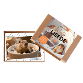 Doosje Winter LIEFDE | 14 Kleine Kaartjes met Winterdieren 