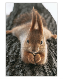 Een zakje winterliefde