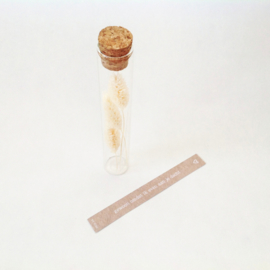 Wens in glas | Droogbloemen
