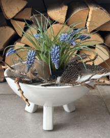 Wooden bowl